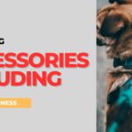 10 Best Dog Accessories Including Dog harness