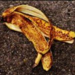 How long does it take Banana Peel to Decompose